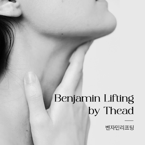 벤자민리프팅